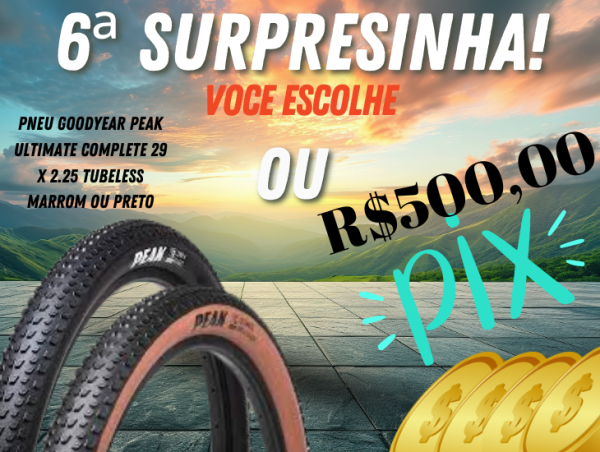 6a.SURPRESINHA - 1 PAR DE PNEUS GOODYEAR PEAK ULTIMATE 29X2.25 OU R$500,00 ( QUINHENTOS REAIS NO PIX )